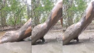 Pria Kesepian Ketagihan Seks, Ngentot Di Lumpur Dalam Video Dewasa