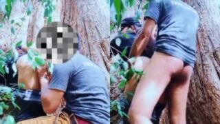 Pasangan Mesra Bercinta Liar Di Bawah Pohon Rindang