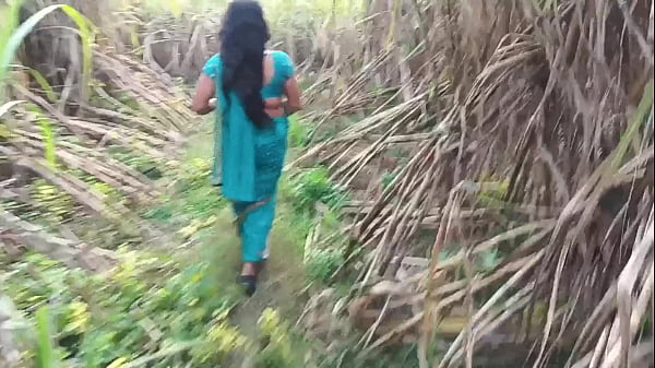 Di Kebun Tebu, Istri Tetangga Yang Seksi Digebukin Sambil Minta Ampun